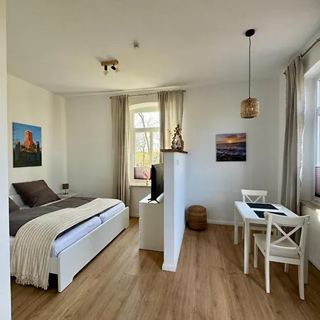 Heuler Beim Ochsenturm Am Deich