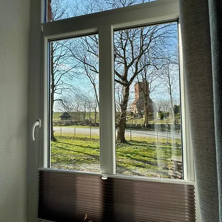 Heuler Beim Ochsenturm Am Deich * Imsum