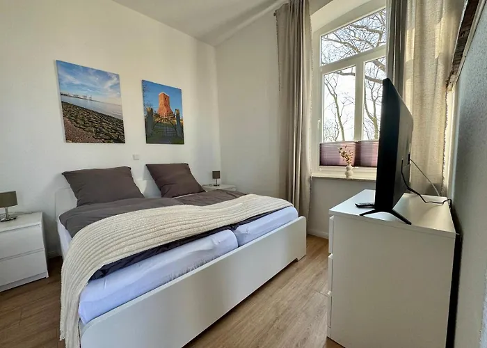 Heuler Beim Ochsenturm Am Deich * Imsum